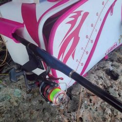 DAIWAグレマスターズ和歌山予選